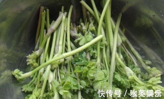 野草|农村被称为“猫爪草”，现在成了城里热门野菜，卖50元一斤