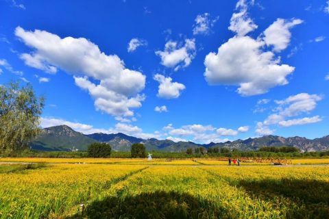  北京|大片来袭！延庆获北京首个“中国天然氧吧”称号