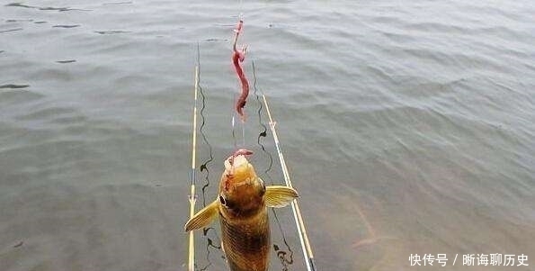 秋钓黄颡鱼,老钓友只钟爱这3种“饵”,半小时就能钓满渔护