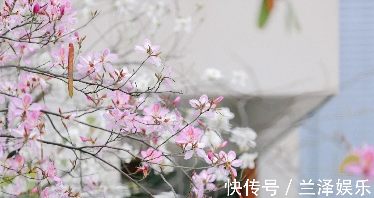 辛弃疾#好暖心的30个诗句,句句精致入心,让人相见恨晚