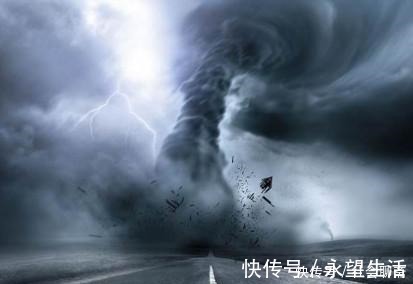 10个趣味冷知识!蟑螂小强的大众神话与草根人生!