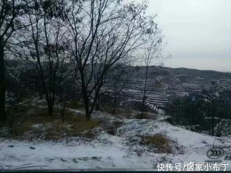 沙漠水：初春的小雪