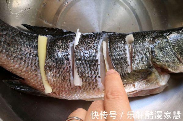 只爱这种做法清蒸鲈鱼,又快又简单,鱼肉鲜嫩细腻,好吃没有腥味