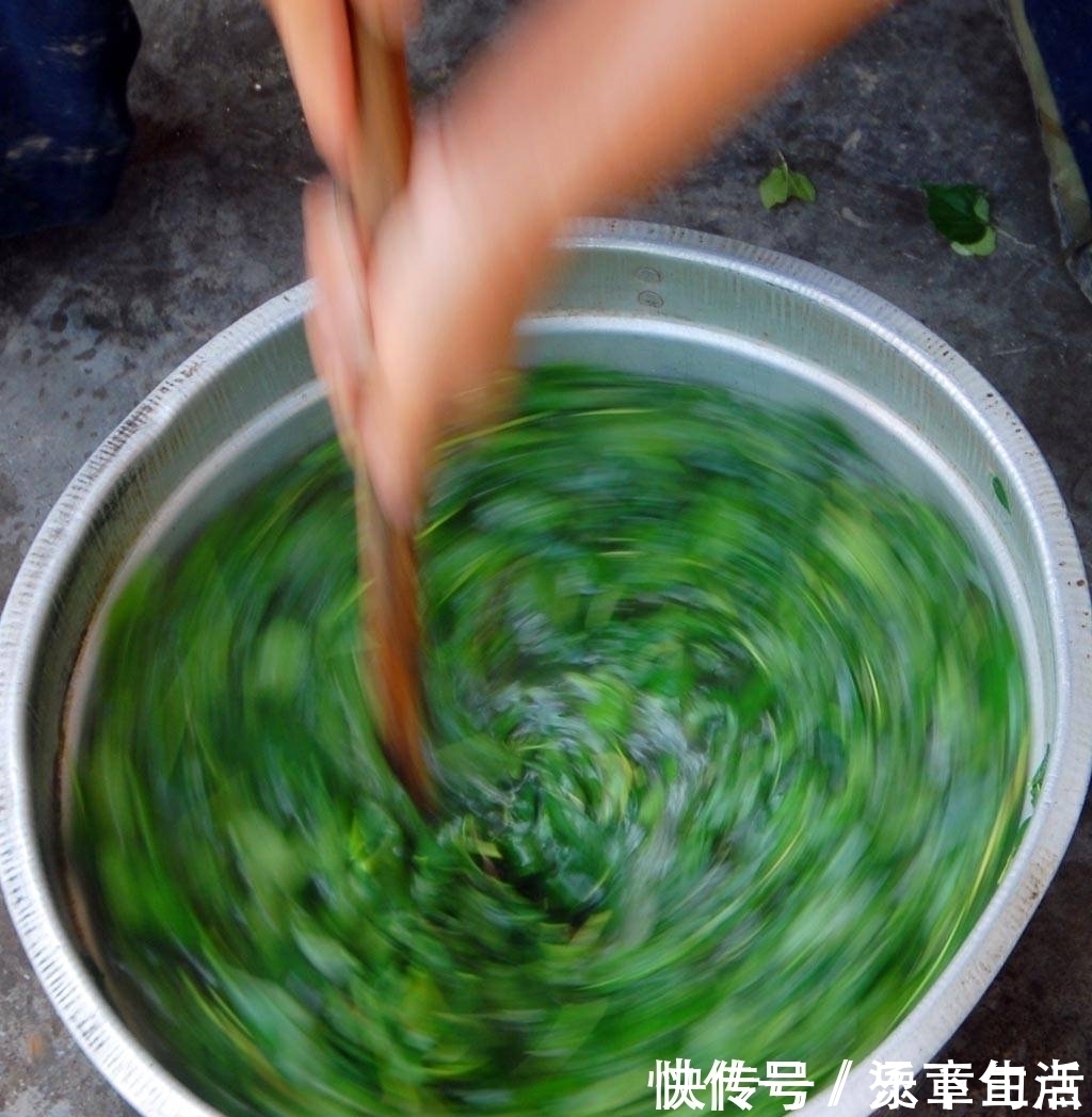 用树叶做的豆腐，只有农村人才会，你有见过么？