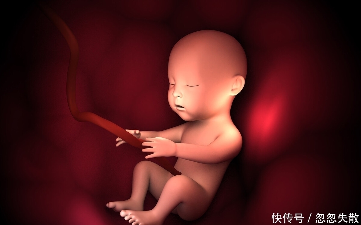 脐带|胎宝在妈妈肚子里无聊不?是时候告诉孕妈真相了,怪可爱的