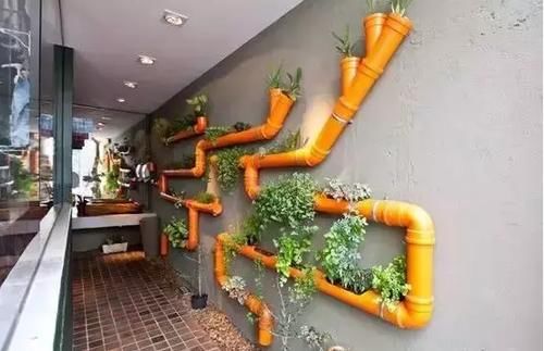 家里空间小，养花学着这么“省地”，再多盆栽都放得下