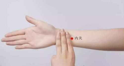 食物|有胃病的人,需要好好养胃,3种食物可常吃,不了解的不妨了解下