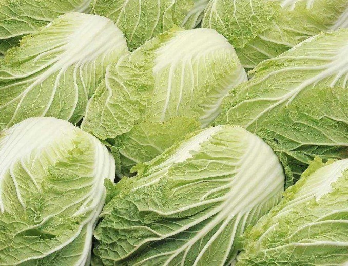 此物|吃完大白菜后要当心,切忌碰此物,有很多人不清楚,分享给身边人