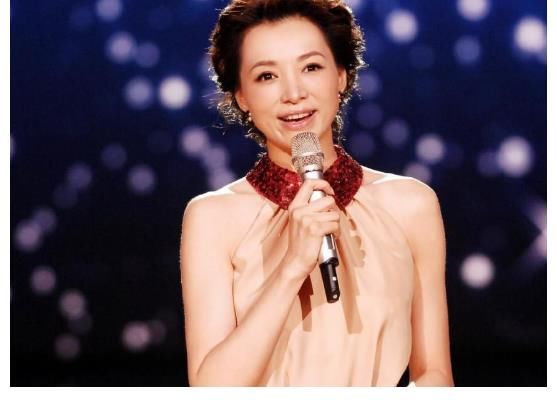 債務危機|董卿遭遇危機，30億欠款破碎了她的豪門夢，她因何淪落至此？