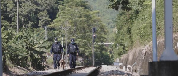 警犬|警犬“金三”为救辅警牺牲，它的主人说......