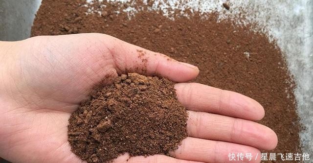 冬钓用饵,我从不加小药,试用这东西,简单又方便,大板鲫特爱吃