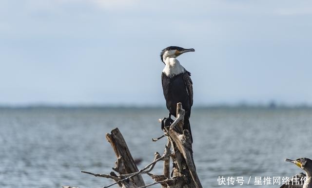 肯尼亚旅游只能去草原？错！还有最美的湖泊