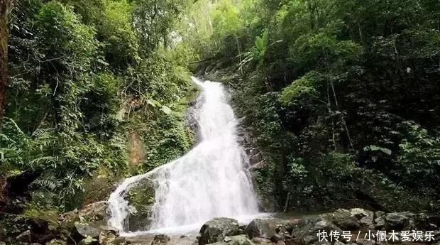 迷失在海南的热带原始雨林秘境里