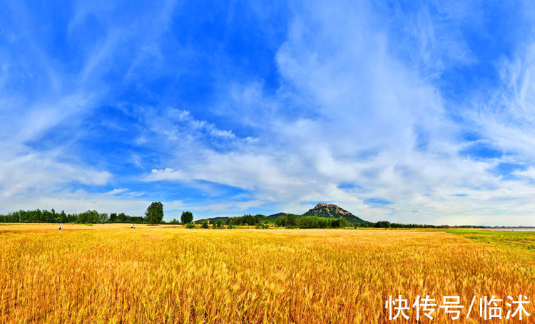 情定三生|美丽的苍马山