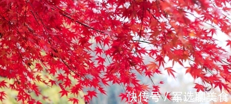 唯美&杜牧这首诗美得令人心醉,短短的28个字,写出了充满诗意的秋天!