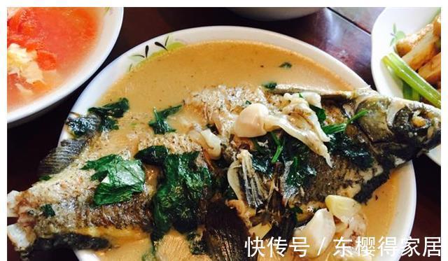 庆祝|小棉袄被地质大学录取，我特意烧一桌菜庆祝，饭后邻居夸我好福气