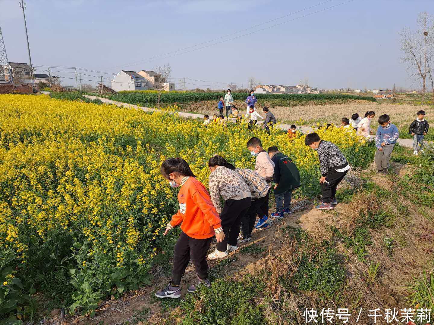 天长市王店小学开展“亲近自然、从小学农”活动