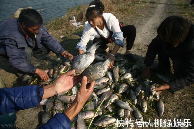 吃鱼越多越好，这4种鱼趁早撤离饭桌，便宜也别买，鱼贩也很少吃