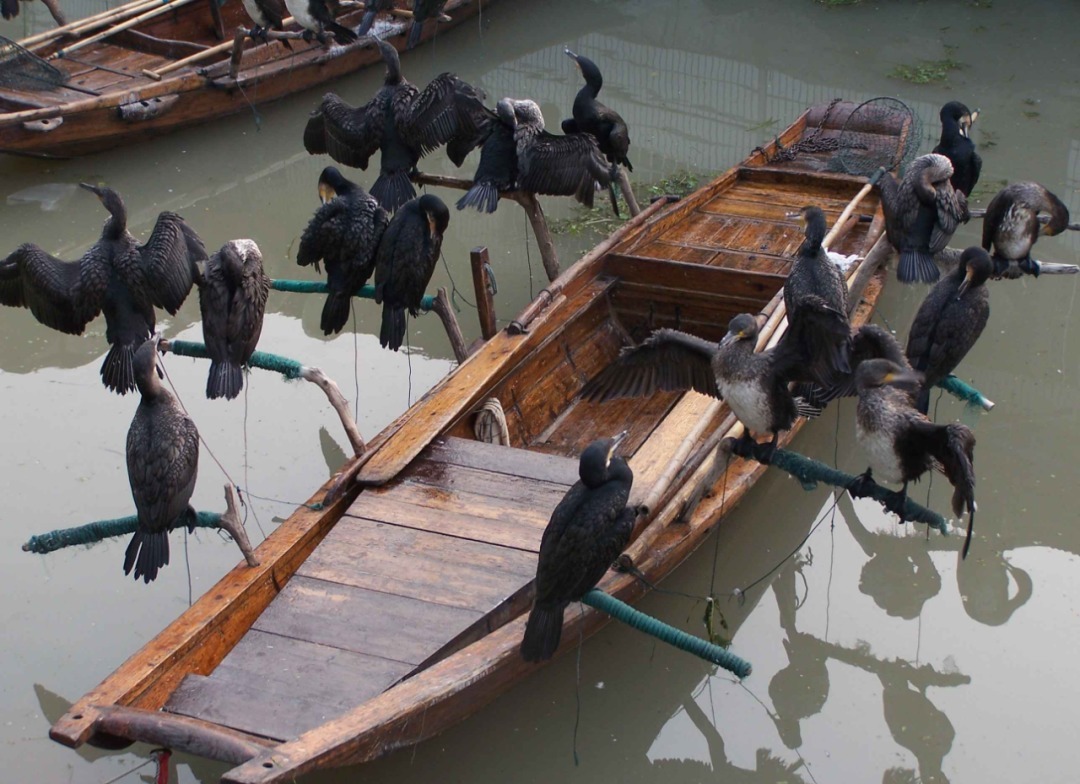 方寸斗野,隐藏在玲珑精致后的人文和历史