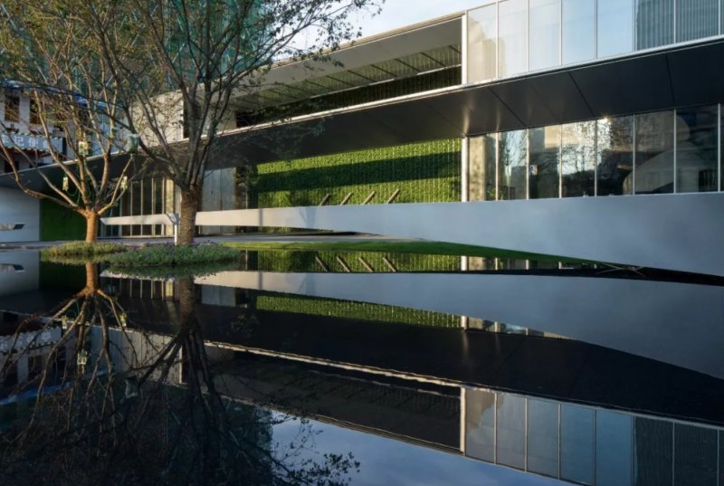 项目|新盘扎推卷起来了