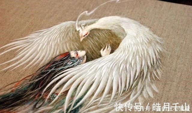 杉泽&90后画师把山海经异兽画活了,成功吸引1000多万粉