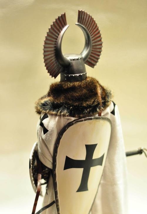 西方|条顿之殇——既是西方骑士的巅峰,也是走下神坛的转折