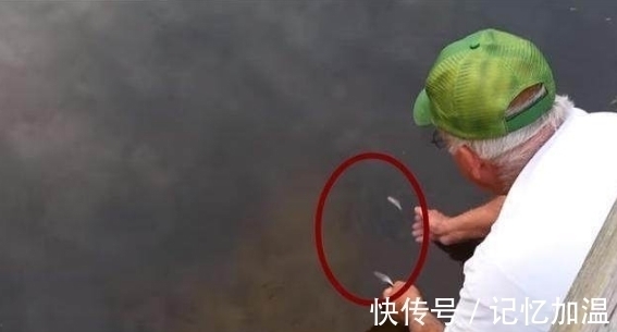 钓鱼|农民大叔不好好钓鱼却伸手进水里,众人嘲笑他,结果却令人吃惊