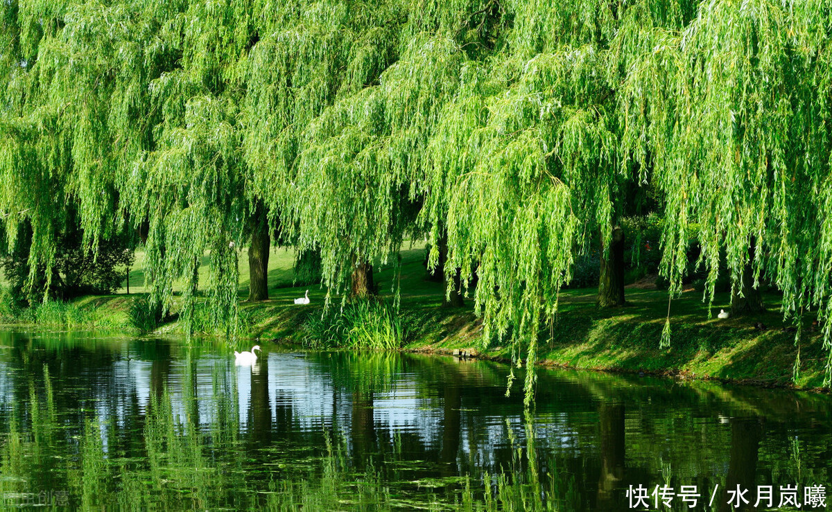  些人|闲来静处，且将诗酒猖狂。唱一曲归来未晚，歌一调湖海茫茫