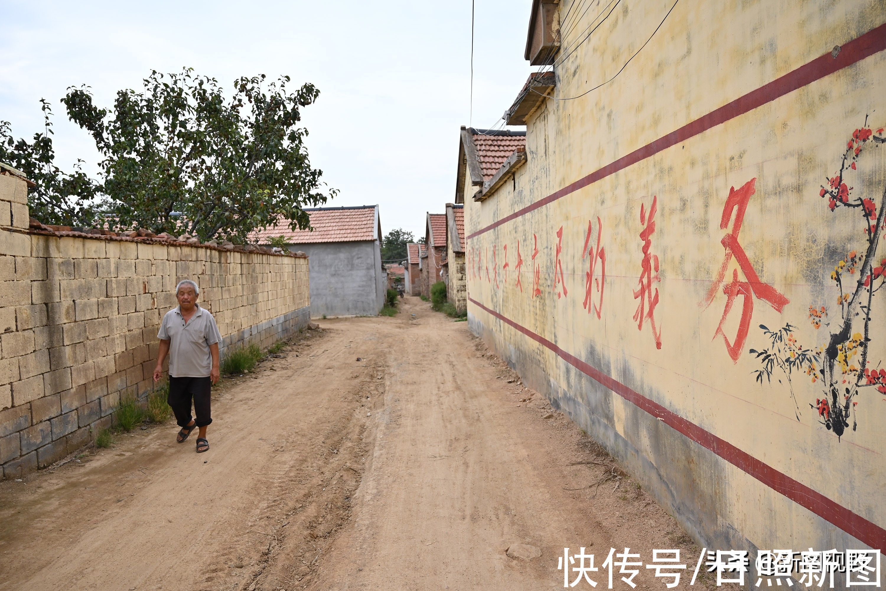 百岁奶奶|104岁奶奶，从没去过医院，养生方法极其简单，长寿秘诀人人都会