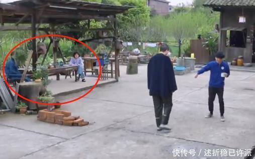 杨紫|《向往的生活5》里那些神奇的操作