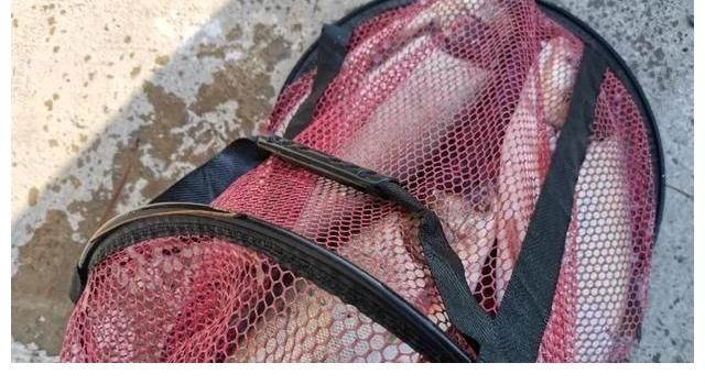 手竿钓鲢鳙，你不知道的5个小知识，对提升鱼获很有帮助