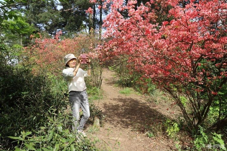 暮春郊外赏花