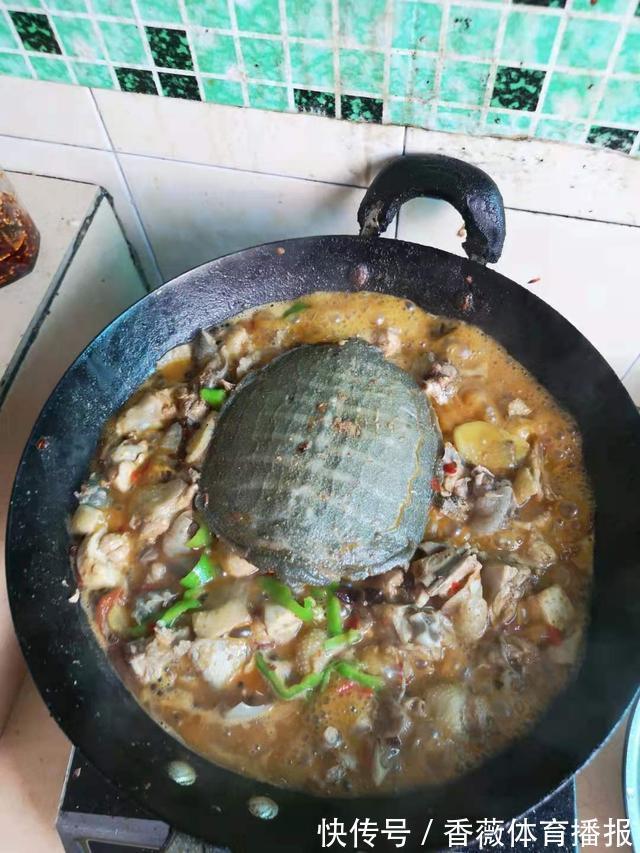 深圳一河道河鳖“泛滥”,有人一晚上钓了十几只,带回家炖了