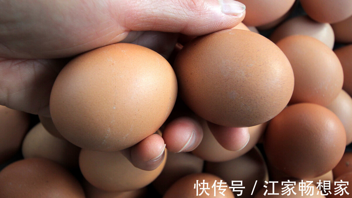 颜色|鸡蛋颜色不同，红壳和白壳哪样好教你正确挑选方法，不要买错了