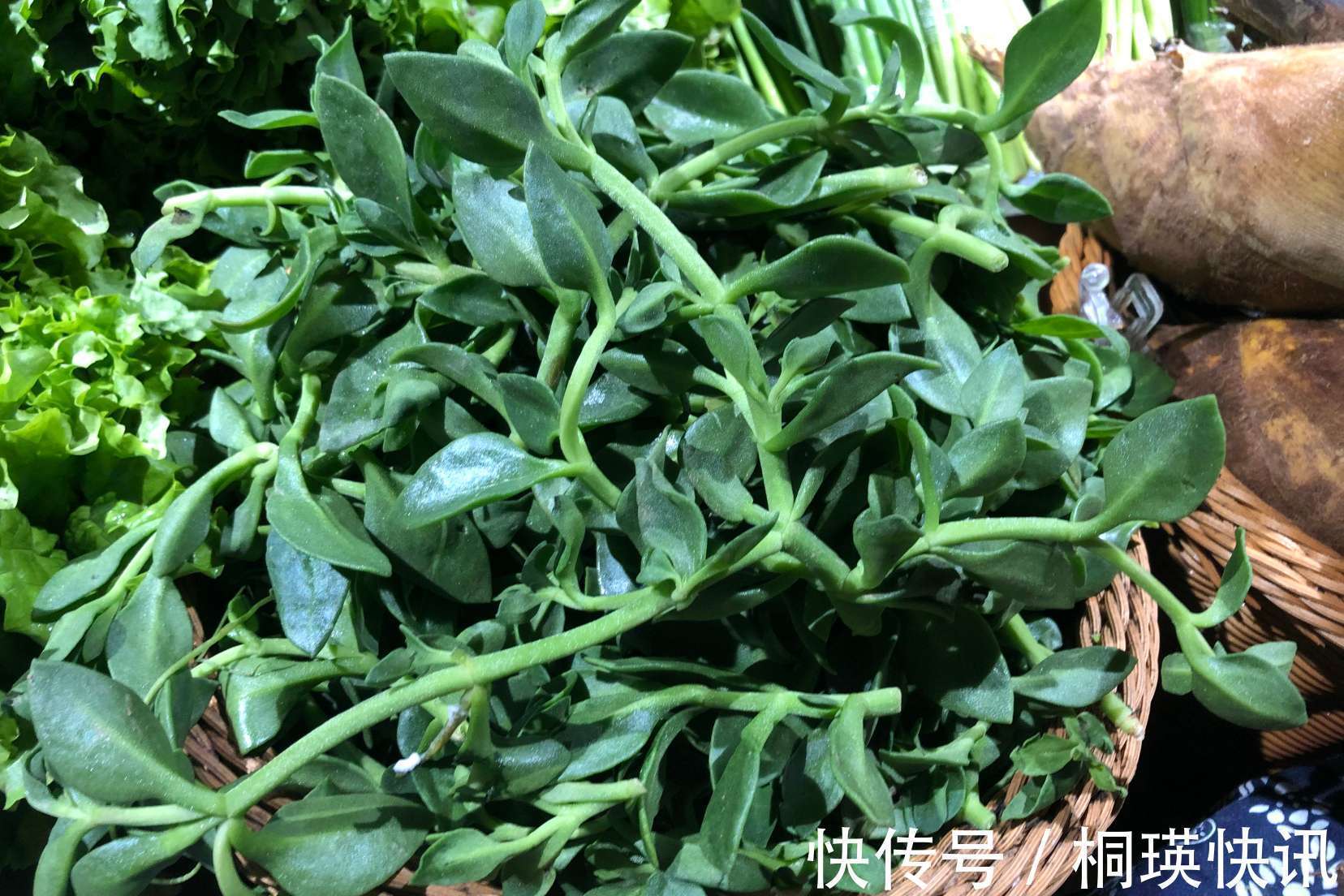 蒲公英|春天一道,这8样受欢迎的“养生菜”别错过,贵点也要尝尝鲜!