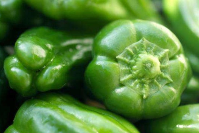 不老药|青椒是天然“不老药”,切记别和此物一起,危害大,不健康!