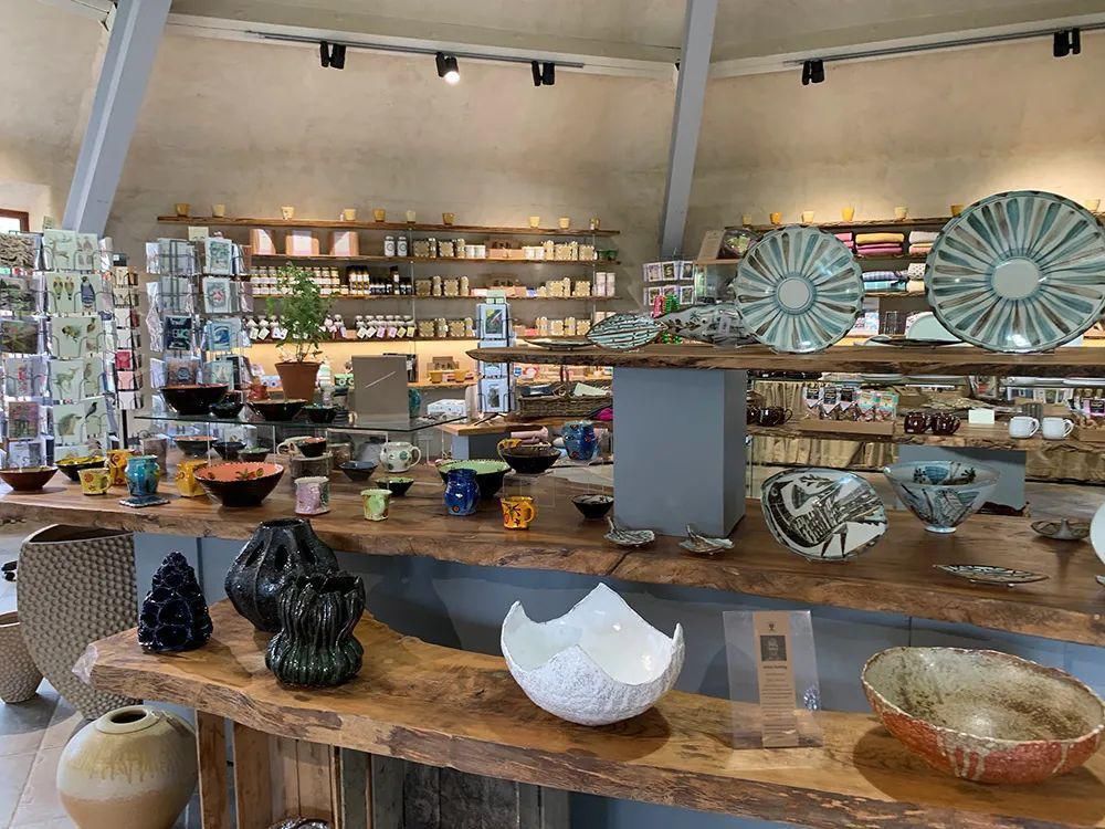  看完这个，想把家里花盆丢了