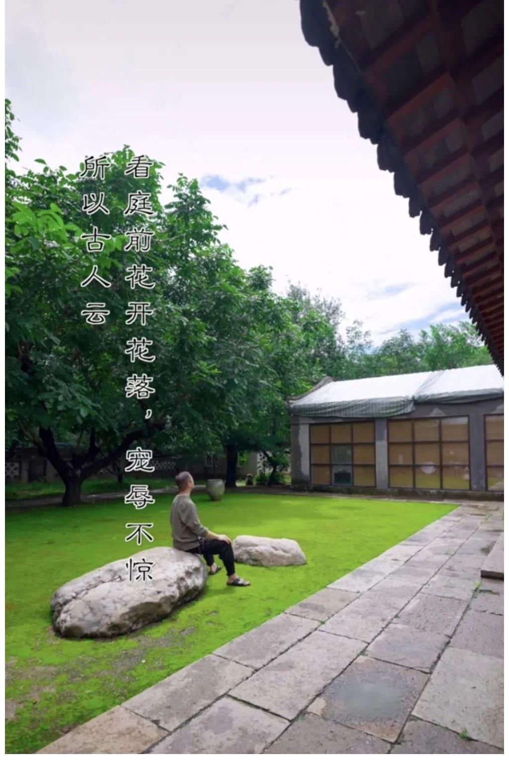 豪宅|李亚鹏又晒下厨视频,被冻结7千万后,49岁在豪宅院子种菜