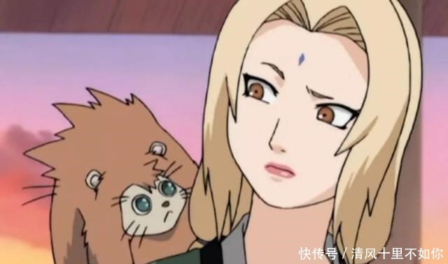 收养|火影鸣人收养的传说级怪兽，却成为木叶村的团宠