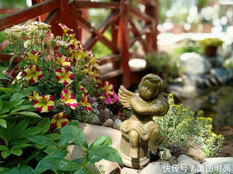 美好时光|花园改造：3年前买了栋带170㎡花园的房子，过上种花草的乡村生活