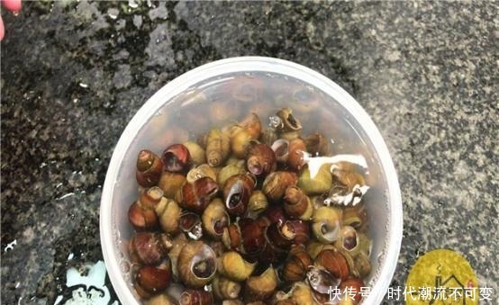 才发现,菜刀上圆孔有个厉害用法,现在知道还不晚,太多人收藏了