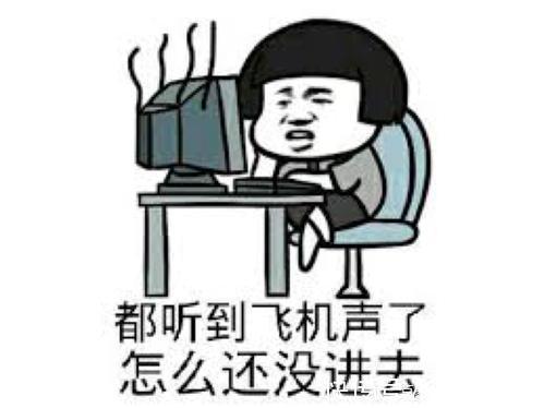 |「搞笑段子」老公买了一盆绿植,告诉我这是山茶花