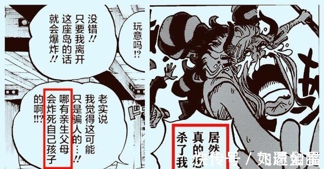 伏笔|海贼王尾田六大伏笔，证明大和是御田儿子桃之助是凯多儿子