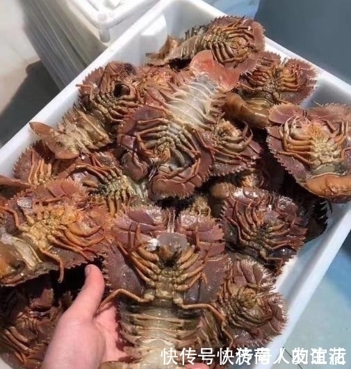 小七|朋友寄一箱“海鲜”,误以为是虾,本想扔掉,掰开后“惊喜满满”