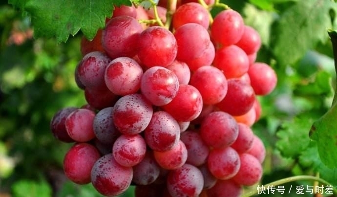 番茄|糖尿病有两种水果不能吃，反之，吃两种水果、记住四点可降血糖