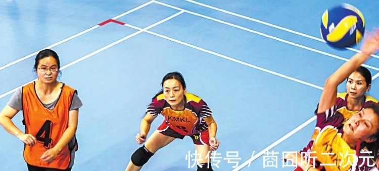 高度|气排球网高度标准尺寸