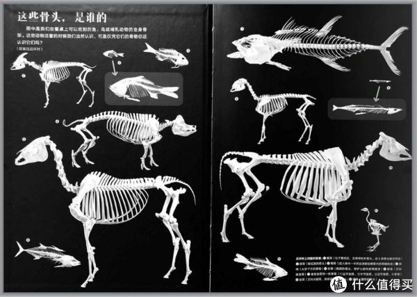  浪花朵朵|这个宝藏童书品牌你买过吗？科普、人文、自然、语言、逻辑全都有！