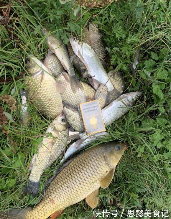 降温将至,鱼情已经变,做出改变才能有好渔获