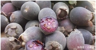 说出一种零食,证明你老了?