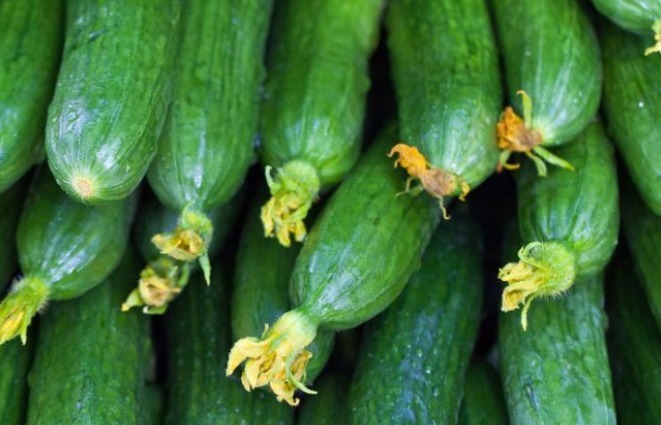 强身健体|忠告黄瓜不能与此物同食,吃了就是没病找病,还有人以为是补品